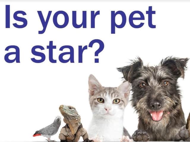 Enter our Top Pet competition and you could win a £50 Pets at Home voucher