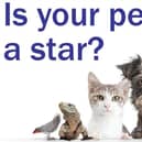 Enter our competition