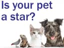 Enter our competition