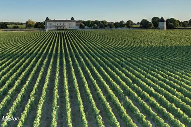 The beauty of Crus Bourgeois wine isn’t just in the landscape, but also in the wine.  Photo: Crus Bourgeois du Medoc