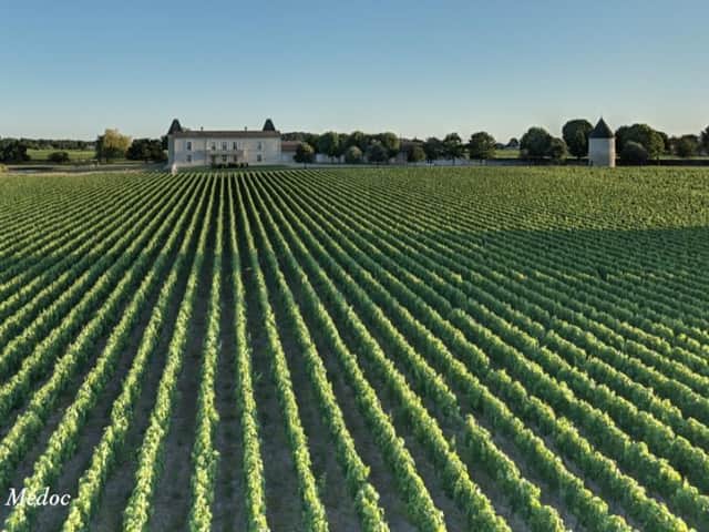 The beauty of Crus Bourgeois wine isn’t just in the landscape, but also in the wine.  Photo: Crus Bourgeois du Medoc