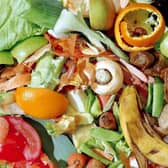 Statistics show how much food was thrown away by WWL