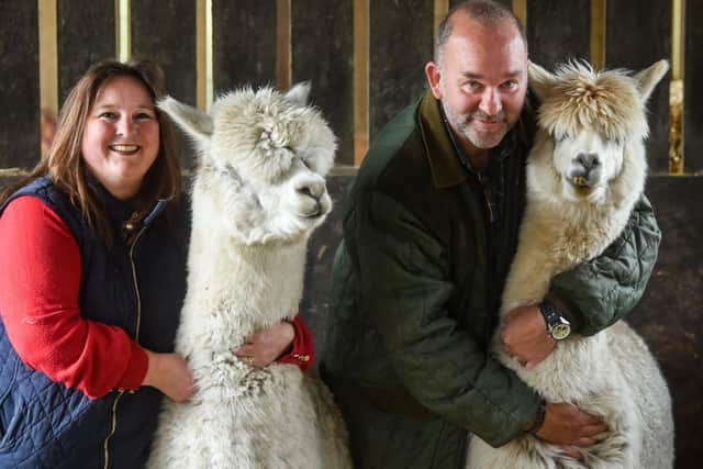 Jane and Paul Cassin with two of the alpacas