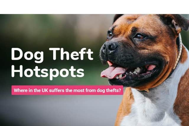 Staffordshire Bull Terriers make up just under a fifth of dog thefts in the UK