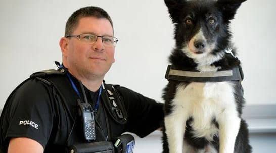 PD Mojo