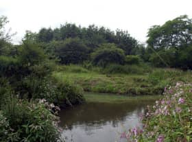 The River Douglas