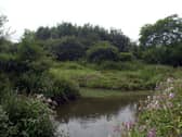 The River Douglas