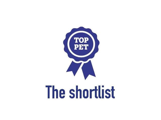 Vote for your favourite