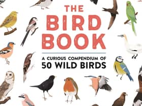 The Bird Book: A curious compendium of 50 wild birds