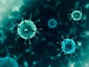 Coronavirus