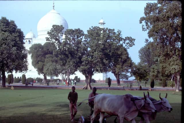 A gardener mows the lawns of the Taj Mahal