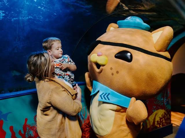 The Octonauts are coming to the north west