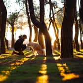 There couldn’t be a better time to explore Lancashire with our dogs