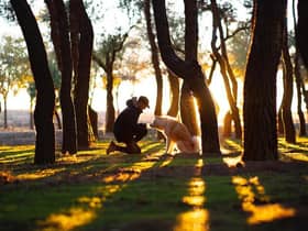 There couldn’t be a better time to explore Lancashire with our dogs