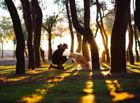 There couldn’t be a better time to explore Lancashire with our dogs