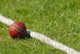 Love it or hate it... cricket is the Marmite of sport