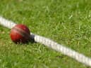 Love it or hate it... cricket is the Marmite of sport