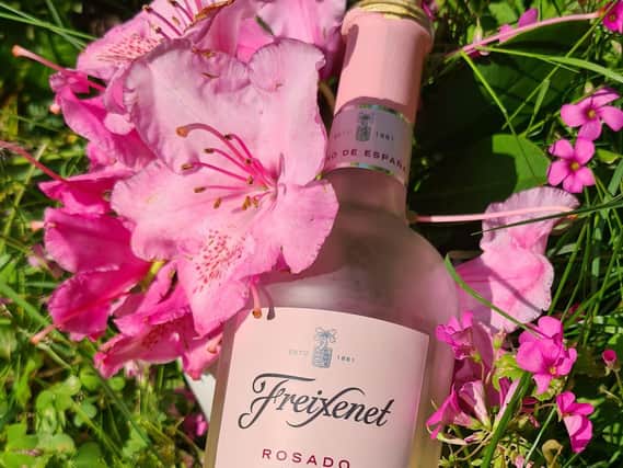 Freixenet Rosado is a tasty pink from Spain and it was perfectly pretty alongside the early summer rhododendrons
