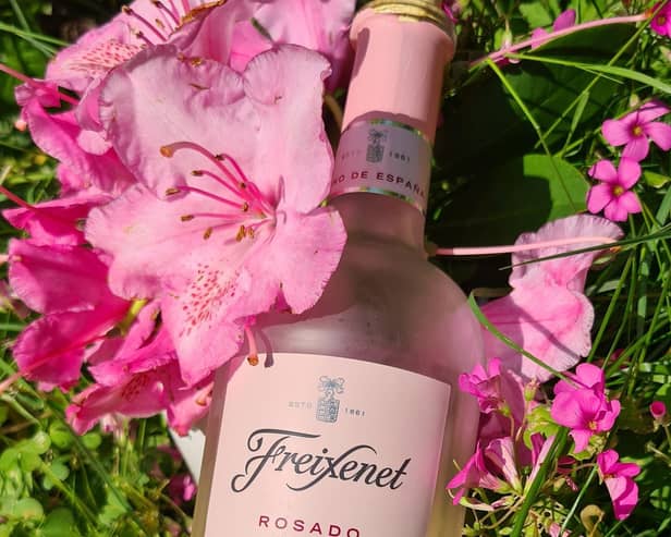Freixenet Rosado is a tasty pink from Spain and it was perfectly pretty alongside the early summer rhododendrons
