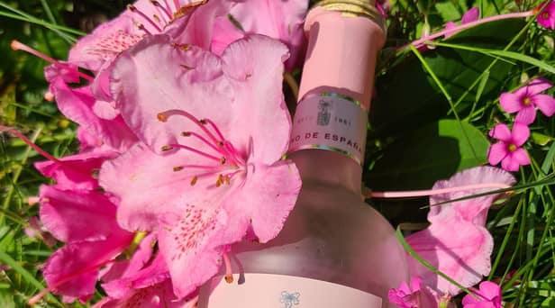 Freixenet Rosado is a tasty pink from Spain and it was perfectly pretty alongside the early summer rhododendrons