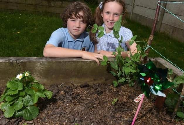 Pupils from Our Lady’s RC Primary School