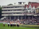Haydock Park stages a twilight six-race meeting on Saturday