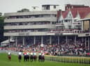 Haydock Park stages a twilight six-race meeting on Saturday