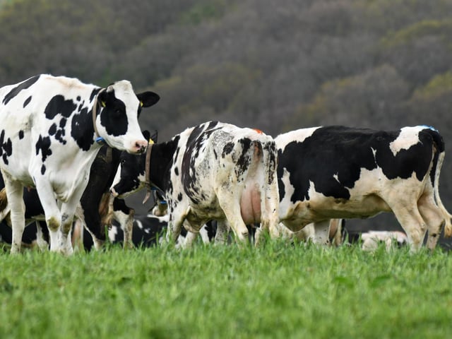 Farmers and walkers are being warned of the dangers of livestock ahead of an expected of an expected rise in visits to the Lancashire countryside.