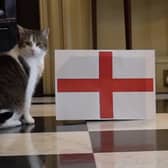 Larry shows his true colours!
