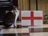 Larry shows his true colours!