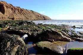 The coastline at Filey