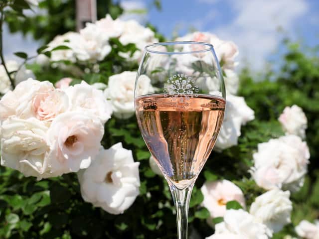 Prosecco DOC Rosé wines have a soft reed fruit character  Picture: Prosecco DOC Consortium