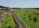 Haydock Park stages the second meeting of the new Sky Bet Sunday Series