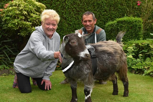 Donna Charnock and husband Roy with goat Porthos
