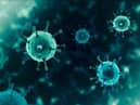 Coronavirus