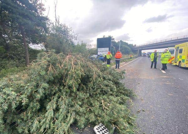 A tree fell onto the carriageway due to the impact of the HGV. (Credit: Knutsford Fire Station)
