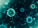 Coronavirus is not going away any time soon