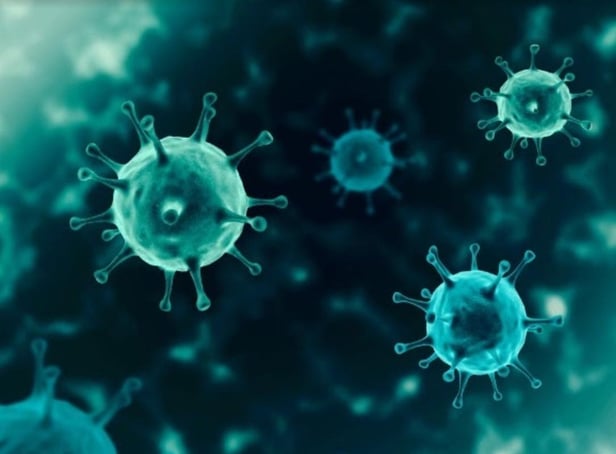 Coronavirus is not going away any time soon