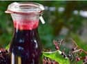 Elderberry