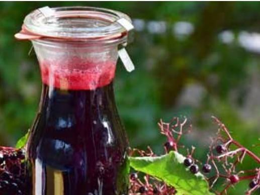 Elderberry