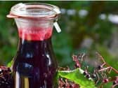Elderberry