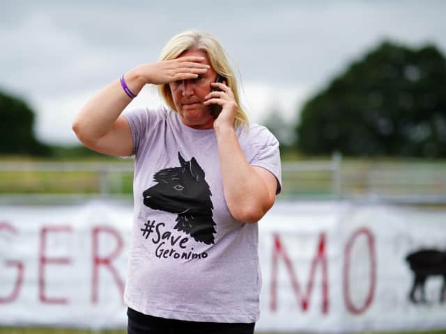 Helen Macdonald, the owner of Geronimo the alpaca