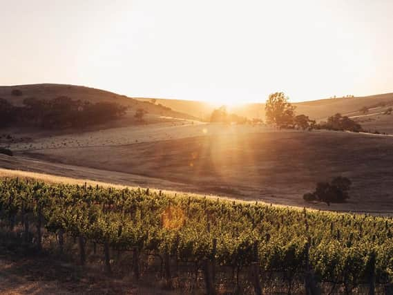 Clare Valley has built its reputation on a combination of elevation and ancient sedimentary soils Picture: Wine Australia