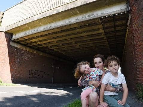 Sarah Keenan (pictured with her two children) is concerned about the birds getting stuck in the netting