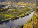Vineyards along the Moselle valley in Germany, the traditional home of Riesling. Picture: TAMA66/PIXABAY