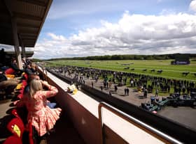 Haydock Park stages the first of two consecutive days of racing action on Friday afternoon with a seven-race card