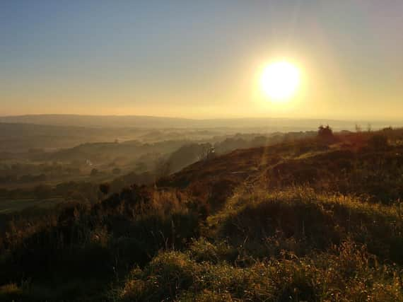 Almost £15 million in funding will pay for more than a million new trees to be planted as part of the Northern Forest project across a swathe of England