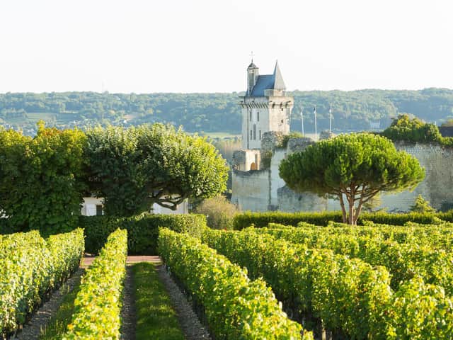 In the  Loire Valley grapes often grow against the backdrop of  chateaux from a time when nobles and kings made their mark on the landscape
