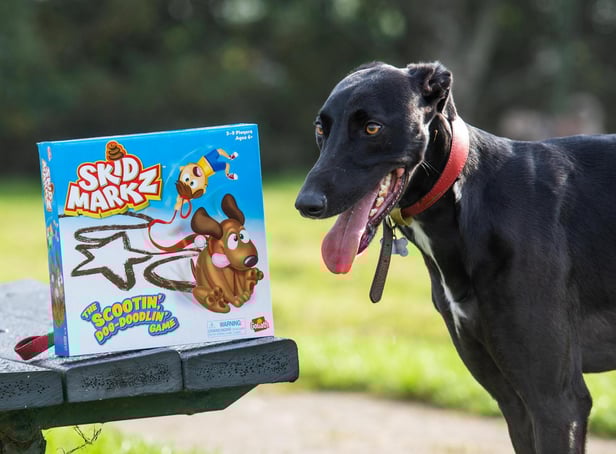 The bizarre £20 game - called Skid Markz