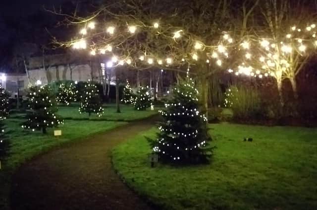 Christmas trees lit up at Wigan and Leigh Hospice in 2020 for its 5,000 Lights initiative